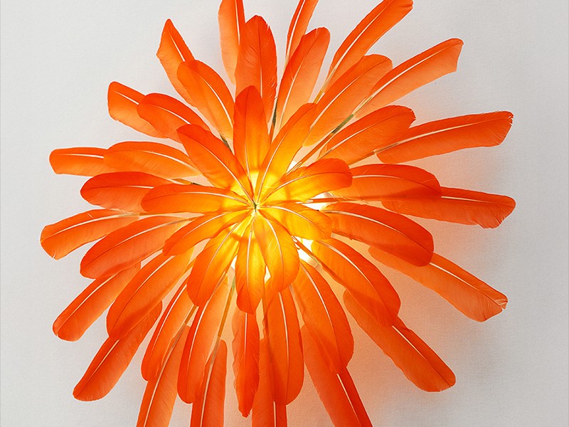 Illuminated vermillion feathers are composed into a wall sconce by French artist Janaïna Milheiro & radiate with a warm glow, available through RUNE, New York.