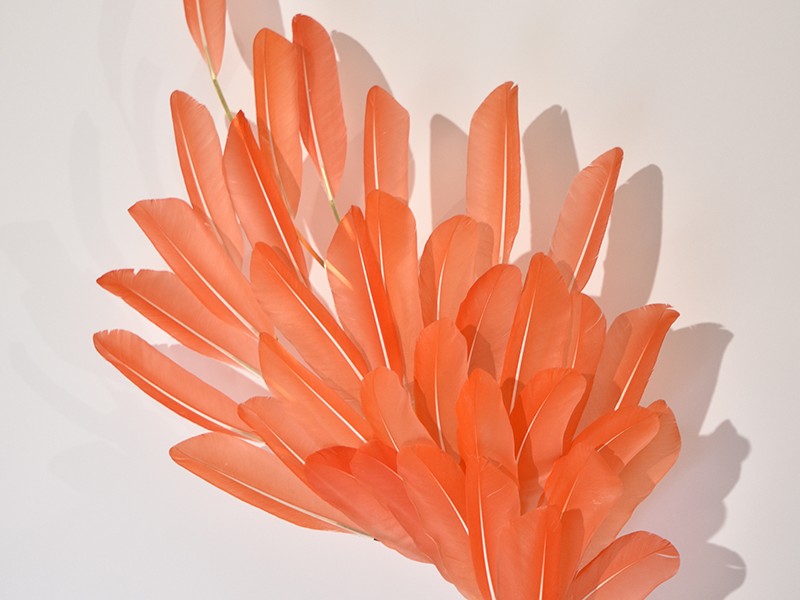 Sculptural feather wall sconce in coral pink by feather artist Janaïna Milheiro available through RUNE, New York.