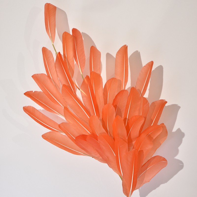 Sculptural feather wall sconce in coral pink by feather artist Janaïna Milheiro available through RUNE, New York.